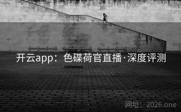 开云app：色碟荷官直播·深度评测  第2张