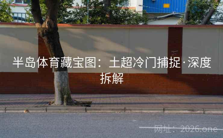 半岛体育藏宝图：土超冷门捕捉·深度拆解  第2张
