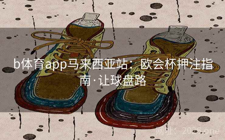 b体育app马来西亚站：欧会杯押注指南·让球盘路  第2张