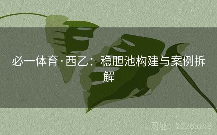 必一体育·西乙：稳胆池构建与案例拆解  第2张