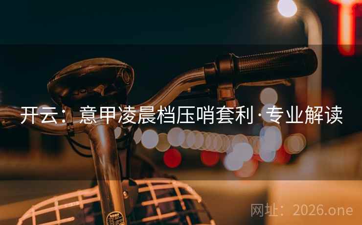 开云：意甲凌晨档压哨套利·专业解读  第2张