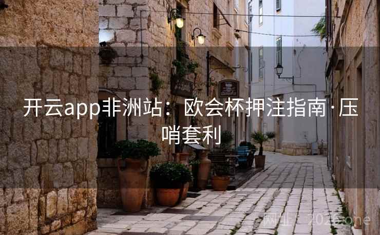 开云app非洲站：欧会杯押注指南·压哨套利